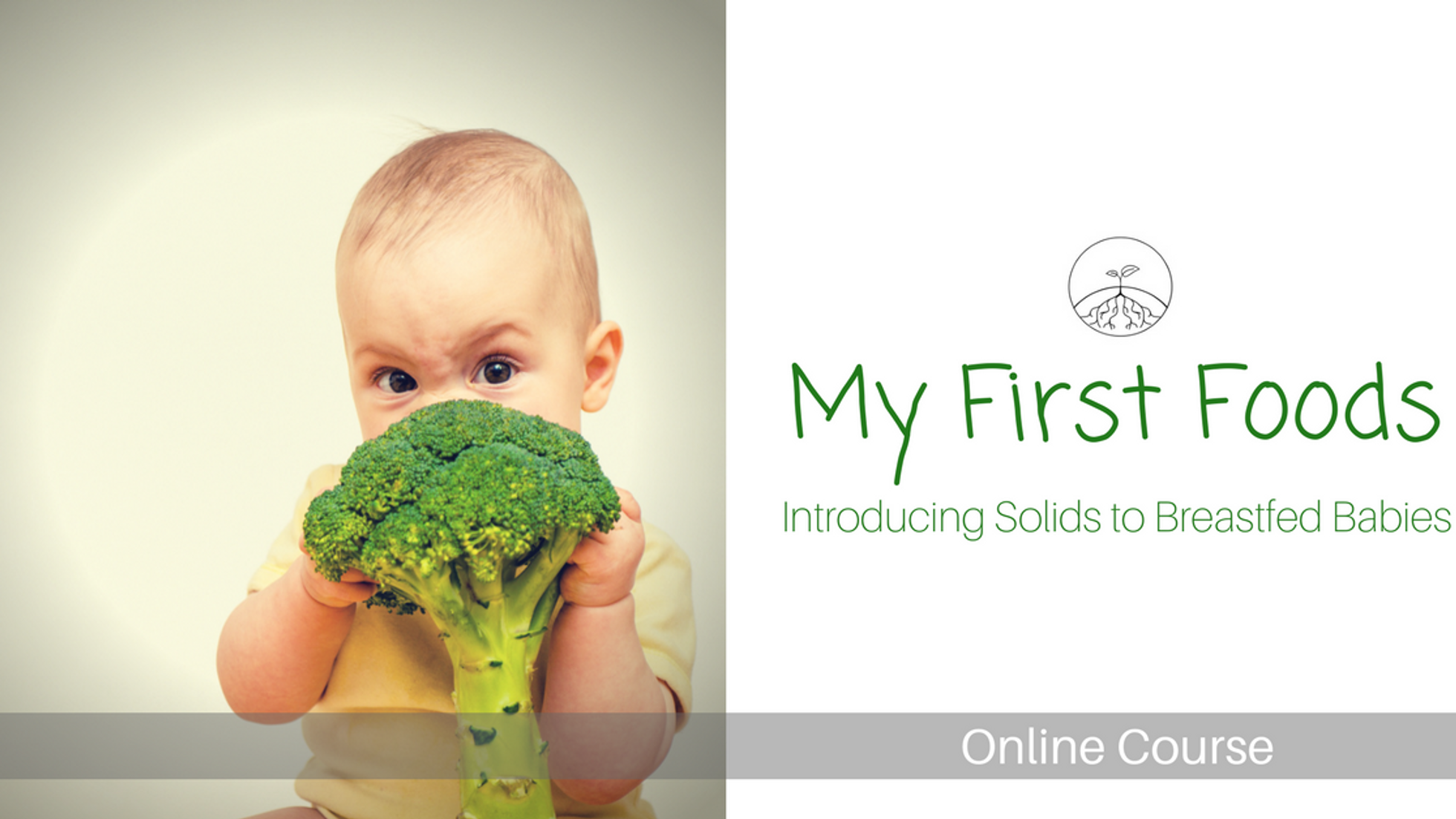 My First Foods - Introducing Solid Foods to Breastfed Babies